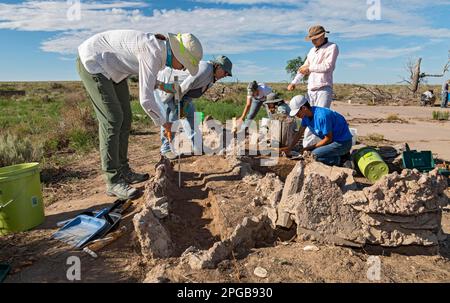 Granada, Colorado, The University of Denver Archaeology Field School at the World War 2 Amache Japanese internment camp. Camp survivors and Stock Photo