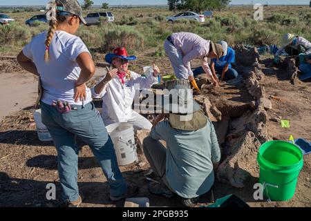 Granada, Colorado, an der archäologischen Feldschule der Universität von Denver im Internierungslager Amache im 2. Weltkrieg. Überlebende des Lagers und Stockfoto