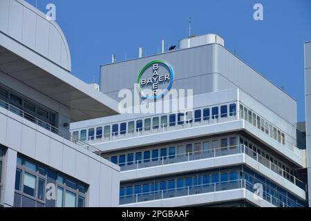 Bayer Pharma AG, Fennstraße, Wedding, Berlin, Deutschland Stockfoto