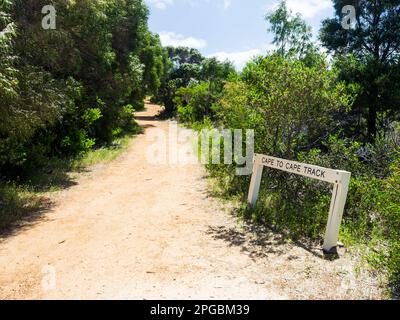 Die Strecke von Cape nach Cape fährt nördlich von Cosy Corner, Leeuwin-Naturaliste National Park, Westaustralien Stockfoto