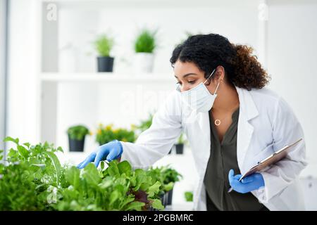 Ich muss dafür sorgen, dass der Boden fruchtbar bleibt. Eine Wissenschaftlerin, die mit Pflanzen experimentiert. Stockfoto