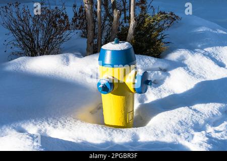 Gelber Feuerhydrant in der Schneesaison Stockfoto