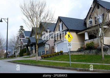 Eine Reihe neuer Häuser in Surrey, British Columbia, Kanada. Vorgarten der Häuser und Straße mit Bäumen und Büschen. Hochwertiges Foto Stockfoto