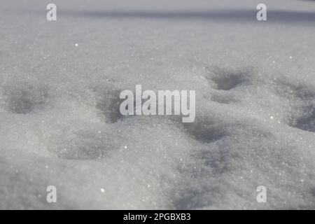 Nahaufnahme des abstrakten Texturhintergrunds einer unregelmäßigen Oberfläche mit tiefschneebedecktem Boden unter natürlichem Sonnenlicht Stockfoto