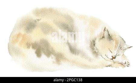 Aquarell Hand zeichnen schlafende Katze, Skizze von niedlichem Kätzchen, Illustration mit Haustier Stockfoto