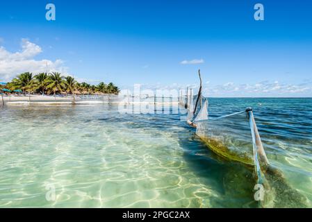 Mahahual Beach in Costa Maya Stockfoto