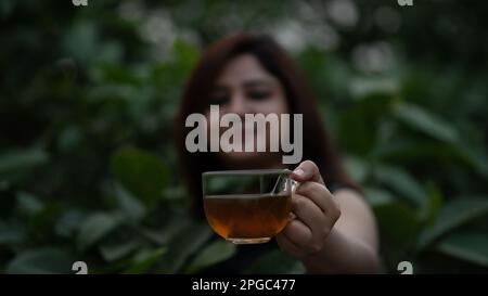 Unschärfe-Effekt Frauen halten eine transparente Teetasse aus Glas und bieten schwarzen Tee an Stockfoto