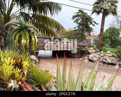 Carpinteria, Kalifornien, USA. 21. März 2023. Die Padero Lane Road ist am 21. Und 22. März geschlossen, da der neueste stimmungsvolle Fluss Ströme von Regen mit Hurrikan-schnellen Winden hinunterschickt, die Bäume stürzten und die Brücke blockierten, wodurch Eigentümer von Wohnungen im Wert von zwanzig Millionen bis einhundert Millionen Dollar daran gehindert wurden, von ihren Wohnungen zu kommen oder zu gehen (Kreditbild: © Amy Katz/ZUMA Press Wire) NUR REDAKTIONELLE VERWENDUNG! Nicht für den kommerziellen GEBRAUCH! Stockfoto