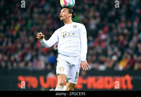 Bundesliga, BayArena Leverkusen; Bayer Leverkusen vs Bayern München; Leroy Sane (FCB) Stockfoto