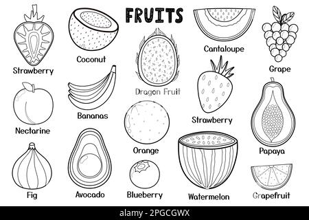Schwarz-weiße Obstsammlung. Gesundes Essen isolierte Elemente. Ideal zum Ausmalen von Seiten Stock Vektor