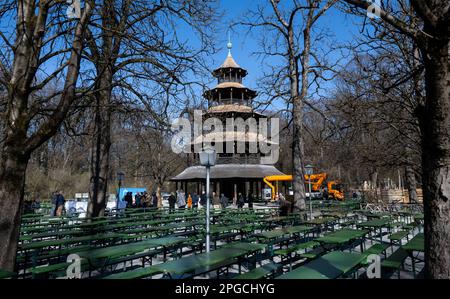 München, Deutschland. 22. März 2023. Der chinesische Turm im Englischen Garten. In den letzten Monaten wurde der Turm restauriert - die Arbeiten sind rechtzeitig bis Anfang Frühling abgeschlossen. Kredit: Sven Hoppe/dpa/Alamy Live News Stockfoto