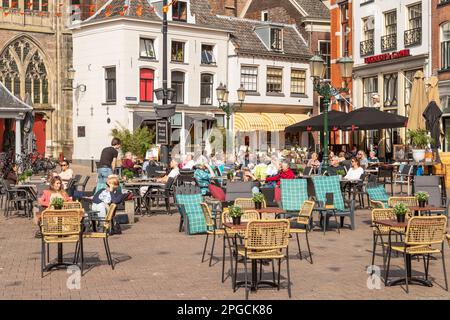 Die Gäste genießen die Frühlingssonne auf der Terrasse des Hofes in Amersfoort. Stockfoto