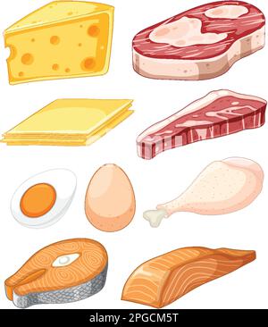 Variety of fat and protein foods collection illustration Stock Vektor