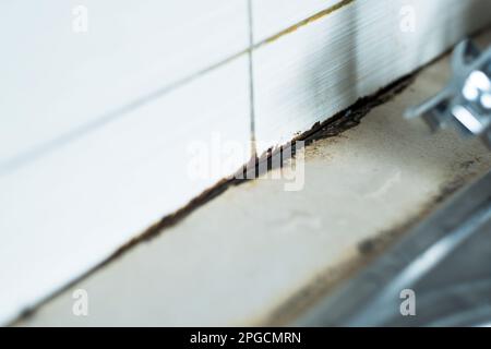 Schwerpunkt auf schwarzem Schimmel auf Keramikfliesen.Schimmel auf Küchenspüle. Wasser tritt aus dem Wasserhahn aus. Giftige Schimmelsporen, ungesund. Stockfoto