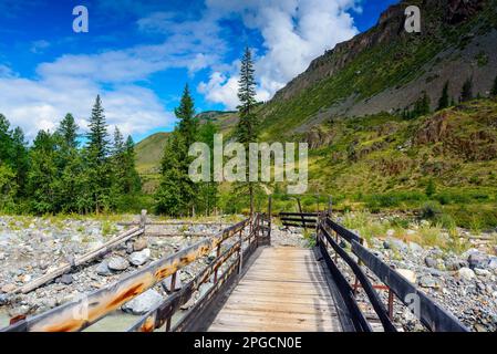 Hölzerne Brücke aus Brettern über den Berg Fluss Chuya mit fließendem und schlammigem Wasser inmitten der Felsen mit Fichten und Wald und Steinküste Stockfoto