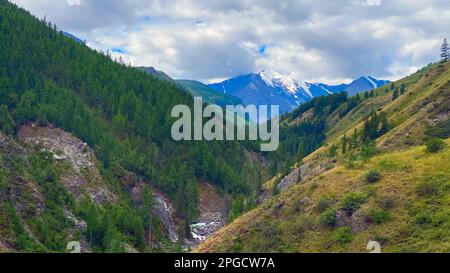 Steile Hügel mit Wald und Gras im Maashey River Valley, die im Herbst von den Bergen mit Gletschern in Altai in Sibirien hinunterfließen. Stockfoto