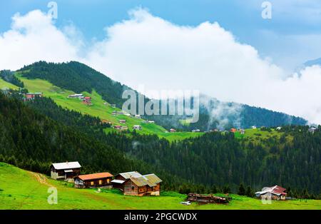 BLICK auf DAS SAL-PLATEAU und das POKUT-PLATEAU im Camlihemsin-Bezirk der Provinz Rize. Region der Kackar Mountains. Rize, Truthahn. Stockfoto