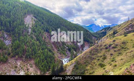 Steiler Hügel mit Wald und Gras im Tal des Flusses Maashey, der von den Bergen mit Gletschern in Altai in Sibirien unter dem Berg hinunter fließt Stockfoto