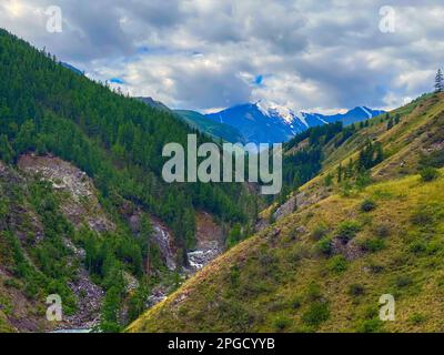 Steiler Hügel mit Wald im Tal des Flusses Maashey, der von den Bergen mit Gletschern im Altai in Sibirien unter den Wolken hinunterfließt. Stockfoto