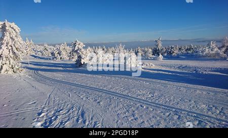 Eine ruhige Winterszene mit einer verwinkelten schneebedeckten Straße mit Bäumen, die von einer dicken Decke weißen Schnees auf beiden Seiten bedeckt sind Stockfoto