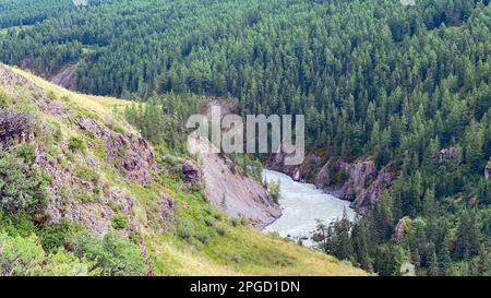 Der schmale Fluss Chuya in den Schluchten zwischen den Bergen fließt tagsüber zum Altai in Sibirien. Stockfoto