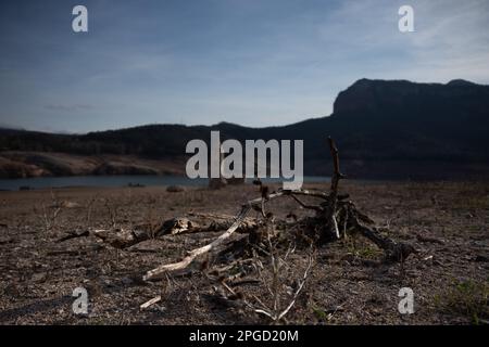 Sau, Katalonien, Spanien. 22. März 2023. Die Überreste von Bäumen sammeln sich im alten Dorf Sau, wo Besucher nur REDAKTIONELLE FIGUREN bilden (Kredit Bild: © Eric Renom/ZUMA Press Wire)! Nicht für den kommerziellen GEBRAUCH! Stockfoto