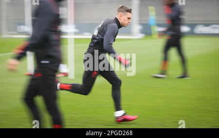 Tubize, Belgien. 22. März 2023. Der belgische Leandro Trossard wurde am Mittwoch, den 22. März 2023, in der Hauptniederlassung der Royal Belgischen Fußballvereinigung RBFA in Tubize während eines Trainings der belgischen Fußballmannschaft Red Devils fotografiert. Die Red Devils bereiten sich auf die bevorstehenden Spiele gegen Schweden und Deutschland vor. BELGA PHOTO VIRGINIE LEFOUR Kredit: Belga News Agency/Alamy Live News Stockfoto