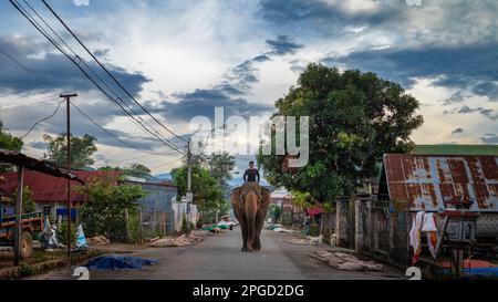Ein männlicher Mahout aus einer ethnischen Minderheit von Mnong reitet in der Dämmerung auf seinem asiatischen Elefanten nach einem Tag im Dienst von Touristen in Buon Jun, Lien Son, Vietnam. Stockfoto