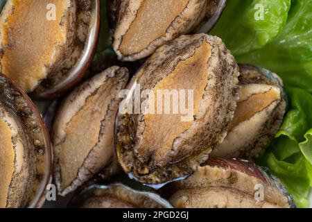 Köstliche rohe Abalone auf einem Teller mit Salat auf Holztisch. Stockfoto