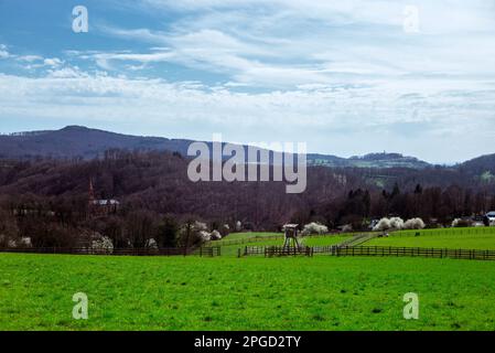 Fürstenlager-Park in Bensheim. Der ehemalige Adel-Vergnügungspark ist heute öffentlich und wird von den Einheimischen geschätzt. Stockfoto