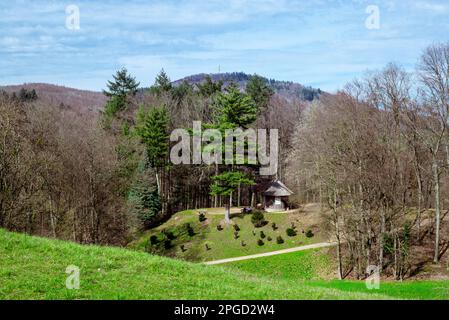 Fürstenlager-Park in Bensheim. Der ehemalige Adel-Vergnügungspark ist heute öffentlich und wird von den Einheimischen geschätzt. Stockfoto