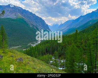 Fichtenwald vor dem Hintergrund eines Panoramas von Bergen mit Gletschern unter den Wolken und dem Zusammenfluss von Karakabak und Mazhoy Stockfoto