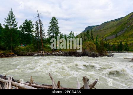 Am Morgen stehen an den Ufern des Berges Chuya Zelte von Touristen an der Bucht in Altai in Sibirien. Stockfoto