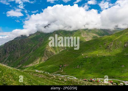 Cicekli-Plateau im Camlihemsin-Bezirk der Provinz Rize. Region der Kackar Mountains. Rize, Truthahn. (Türkisch: Cicekli Yaylasi) Stockfoto