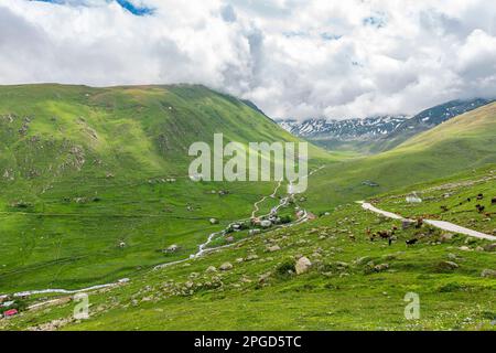 Cicekli-Plateau im Camlihemsin-Bezirk der Provinz Rize. Region der Kackar Mountains. Rize, Truthahn. (Türkisch: Cicekli Yaylasi) Stockfoto