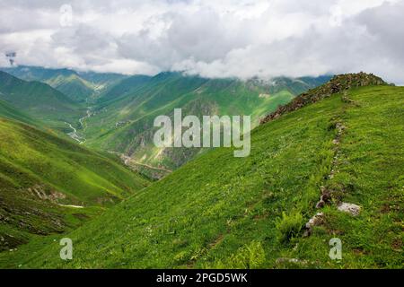 Cicekli-Plateau im Camlihemsin-Bezirk der Provinz Rize. Region der Kackar Mountains. Rize, Truthahn. (Türkisch: Cicekli Yaylasi) Stockfoto