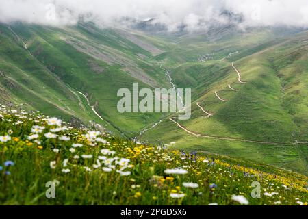 Cicekli-Plateau im Camlihemsin-Bezirk der Provinz Rize. Region der Kackar Mountains. Rize, Truthahn. (Türkisch: Cicekli Yaylasi) Stockfoto