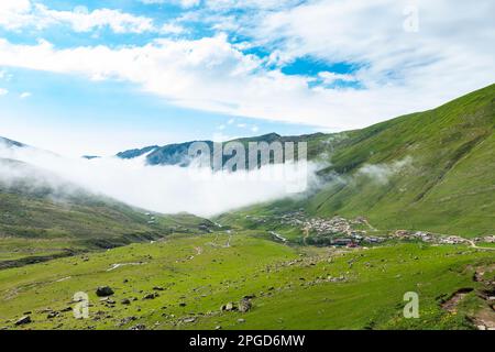 Avusor Plateau in Rize, Türkei. Wunderschöne Landschaft mit den Kackar Mountains. Stockfoto