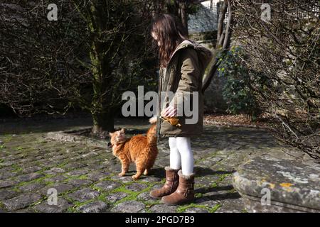 Allgemeine Betrachtungen über Senlis a commune im nordfranzösischen Departement Oise, Hautes de France. Stockfoto