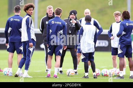 Gelsenkirchen, Deutschland. 22. März 2023. firo: 02/22/2023, Fußball, 1. Liga, 1. Bundesliga, Staffel 2022/2023, FC Schalke 04, Training, GESTE, TRAINER THOMAS REIS/dpa/Alamy Live News Stockfoto