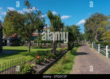 Dorfszene mit Vorgarten und traditionellen Häusern in der Straße Haaldersbroek im Stadtteil Kalverpolder, Zaandam, Nordholland, Niederlande Stockfoto