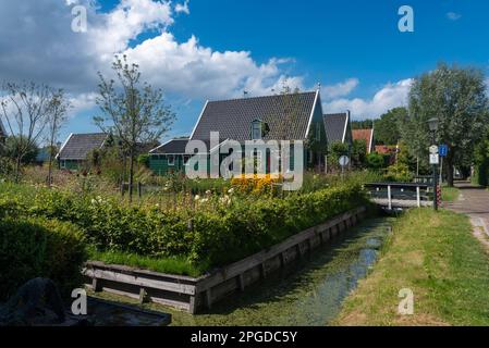 Dorfszene mit Vorgarten und traditionellen Häusern in der Straße Haaldersbroek im Stadtteil Kalverpolder, Zaandam, Nordholland, Niederlande Stockfoto