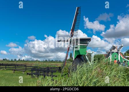 Historische Windmühle De Hadel im Freilichtmuseum Zaanse Schans, Zaandam, Nordholland, Niederlande, Europa Stockfoto