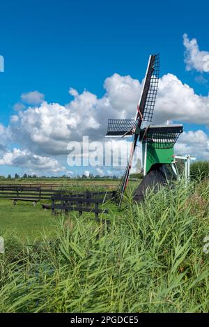 Historische Windmühle De Hadel im Freilichtmuseum Zaanse Schans, Zaandam, Nordholland, Niederlande, Europa Stockfoto