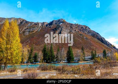 Fahren Sie entlang des Flusses Chuya mit Wellen unter einem Berg mit Herbstbäumen und Schnee auf Altai in Sibirien im Herbst auf einem Feld in der Nähe einer gelben Birke Stockfoto