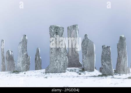 Geheimnisvolle stehende Steine in Callanish auf der schottischen Insel Lewis, die am frühen Morgen gefangen wurden, bevor die Besucher ankommen, um den Schnee aufzuräumen. Stockfoto