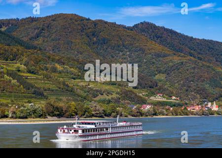 Schwallenbach an der Donau, UNESCO, Wachau, Niederösterreich, Österreich Stockfoto