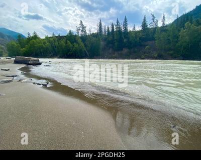 Die sandige Küste wird tagsüber von den Wellen des Flusses Chuya in den Bergen mit Tannen in Altai in Sibirien gespült. Stockfoto