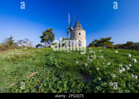 Montfuron Windmill (Moulin Saint-Elzear de Montfuron) in Provence, Alpes-de-Haute-Provence, Frankreich Stockfoto