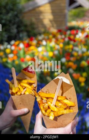 Belgische Pommes Frites im Blumengarten Keukenhof, Lisse, Niederlande Stockfoto